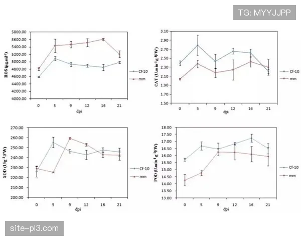青岛队防守效率跃居前三 杨瀚森韦瑟斯庞化学反应显著